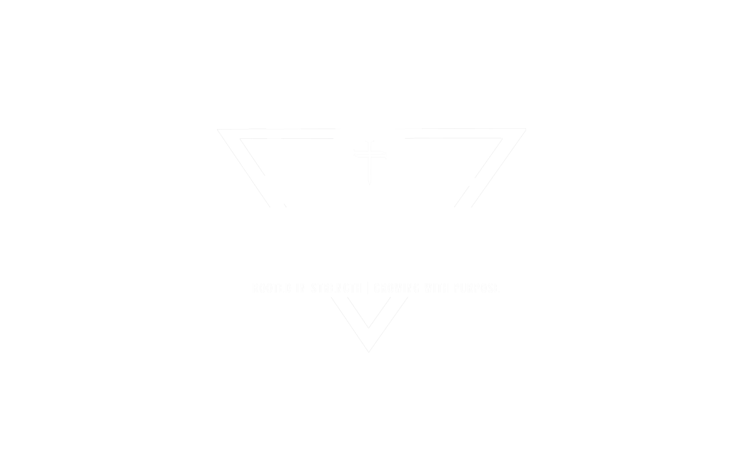 Rising Rock Pro